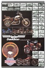 Harley Davidson | An American Tradition