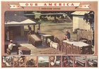 Our America Cotton # 1