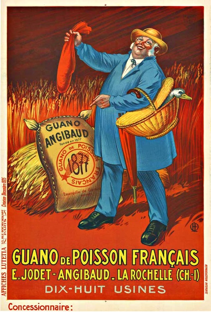 GUANO de Poisson Francais ANGIBAUD