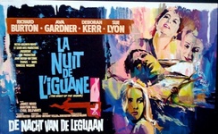 The Night of the Iguana