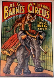 A Truly Big Show | Wild Animal Circus