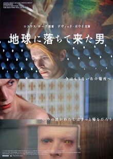 The Man Who Fell To Earth