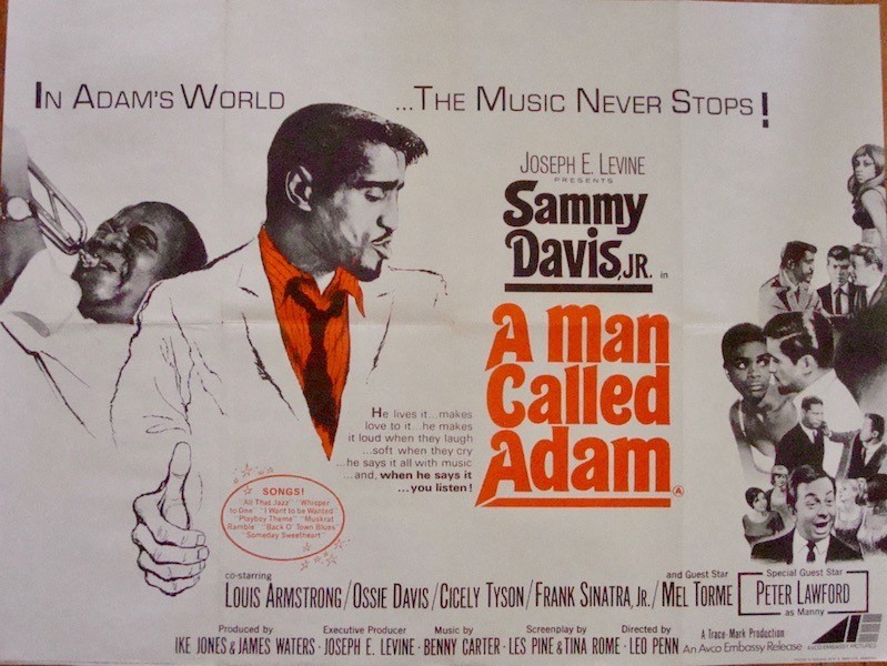 A Man Called Adam