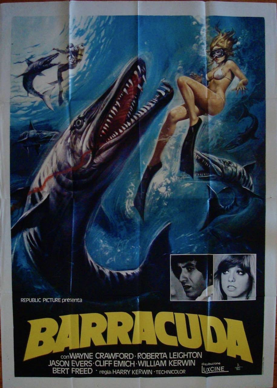 Barracuda