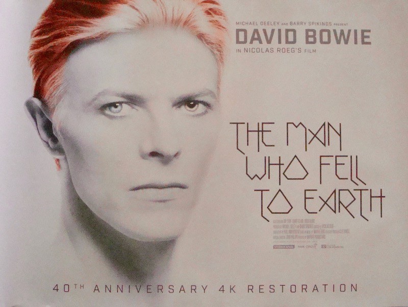 The Man Who Fell To Earth