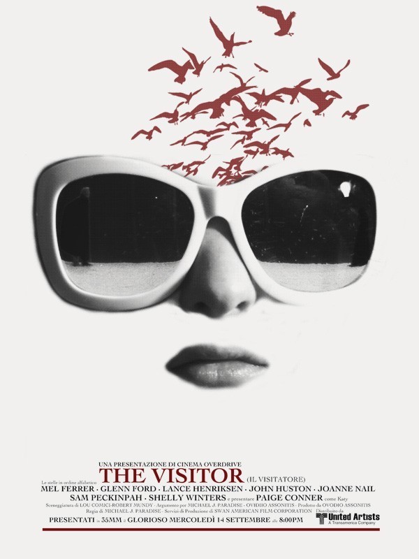 The Visitor 